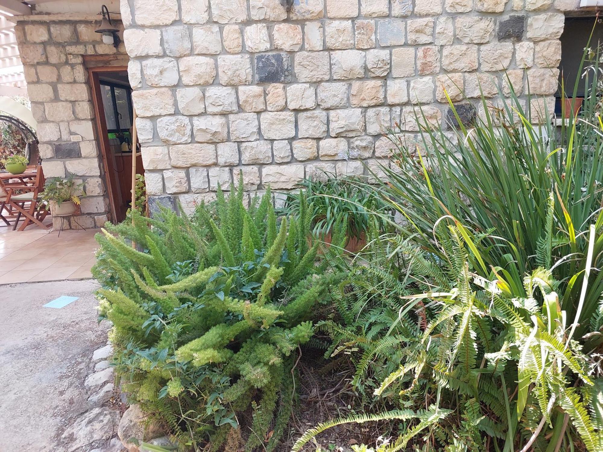 Neve Nof Apartment Rosh Pinna Room photo